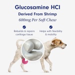 Petlab Co. Joint Care Chews for Dogs - High Levels of Glucosamine, Green Lipped Mussels, Omega 3 and Turmeric - Hip and Joint Supplement for Dogs to Actively Support Mobility - Image 6