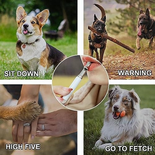 Dog Whistle, 2 Pack Adjustable Ultrasonic Dog Whistle to Stop Barking for Dogs, Recall Training, Professional Ultrasonic Silent Dog Whistle Training Control Tool for Dogs, with Black Strap Lanyard - Image 3