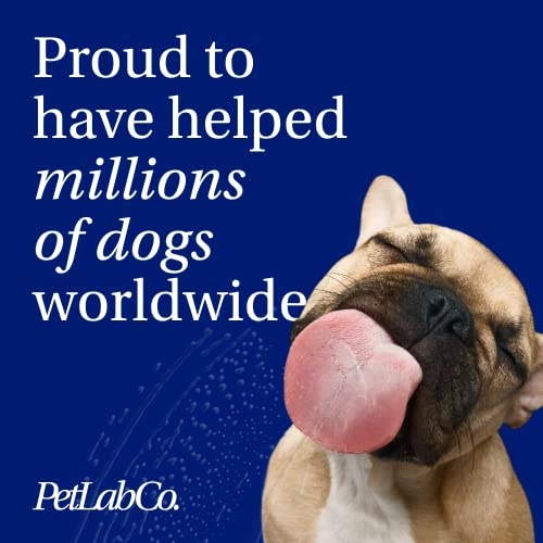 Petlab Co. Joint Care Chews for Dogs - High Levels of Glucosamine, Green Lipped Mussels, Omega 3 and Turmeric - Hip and Joint Supplement for Dogs to Actively Support Mobility - Image 4
