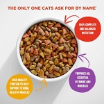 Meow Mix Original Choice Dry Cat Food, 6.3 Pound Bag - Image 5