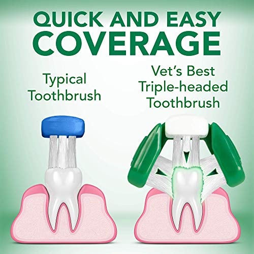 Vet's Best Dog Toothbrush & Toothpaste Kit - Natural Ingredients Reduce Plaque, Whiten Teeth, Freshen Breath - Image 3